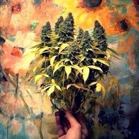 Хорор Мустра