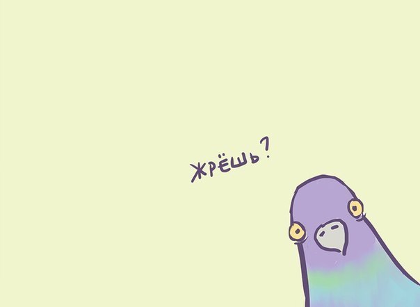 https://pp.userapi.com/c623917/v623917486/9a60/6j-j_1OPpbU.jpg