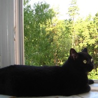 Елизавета Явдаченко