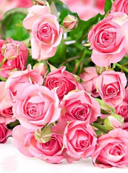 С душистой веточкой сирени