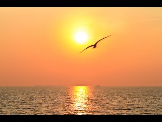 1 Hour Meditation Relax Mind Body: Meditation Music, Healing Music, Soft Music ☯182