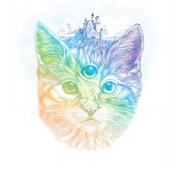 Серега Котанов