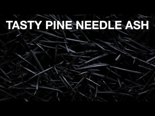 Fir Tree Needle Ash Recipe • ChefSteps