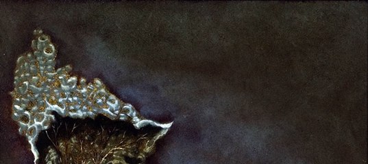 Франсуаза Дольто Бессознательный Образ Тела Купить