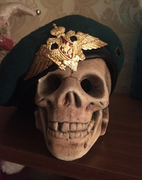 Андрей Повольнов