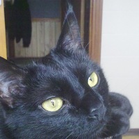 Виктория Лео