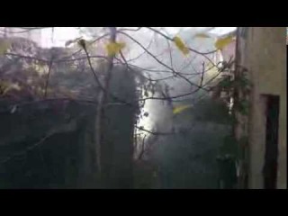 04.11.2015 10:53 Спалення листя на вул. Острозького (поблизу зупинки громадського транспорту)