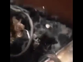 Настоящее японское качество