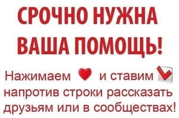 Срочный сбор картинка