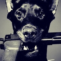 Юрий Красовский  Cross