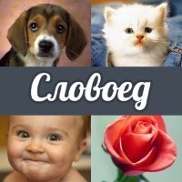 славолюб-угадай слово по картинкам ответы онлайн славолюб-угадай слово по картинкам ответы