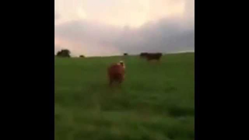 Му мазафака