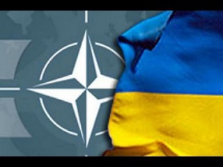 НАТО получило ультиматум от Украины!