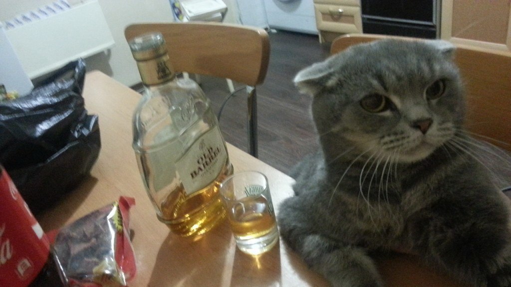 https://pp.userapi.com/c624220/v624220141/615c/q3f_qPYlGMI.jpg