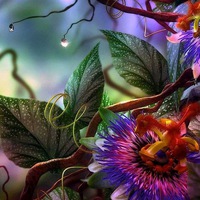 Юля Андреева