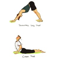 Даша Котова