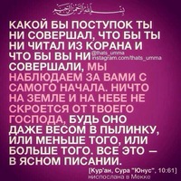 Эльдар Гусейнов