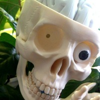 Влад Заец | Севастополь (село)