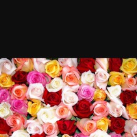 Аймерек Ауезбаева