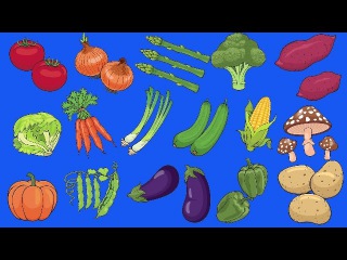 Learn Vegetables Vocabulary | Talking Flashcards