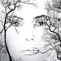 Инга Шишкина