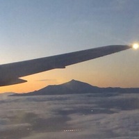 Маня Салтыкова