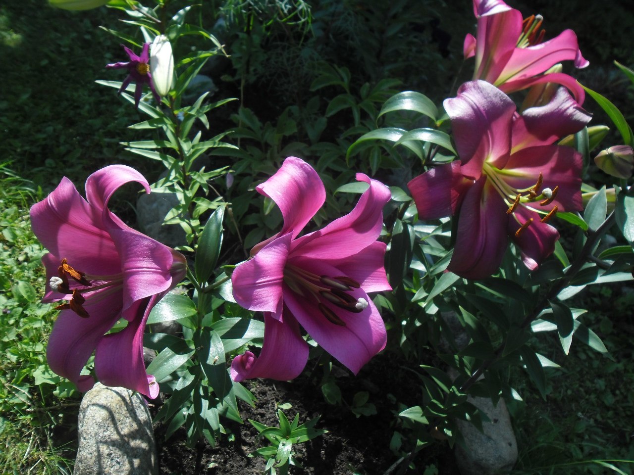 фотография из вКонтакта