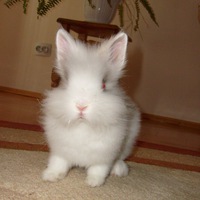 Оксана Ребуха