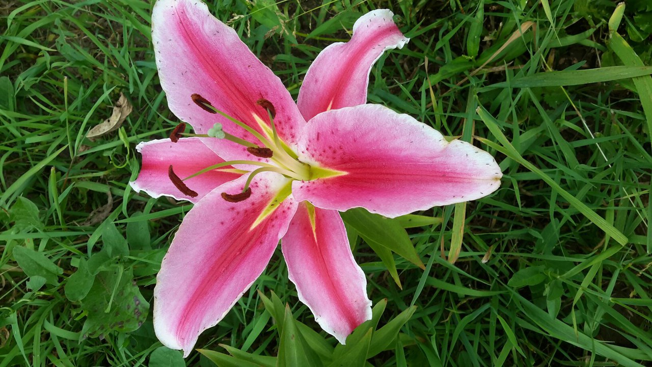 фотография из вКонтакта