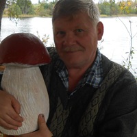 Николай Клевин