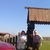 Фото пользователя Лариса