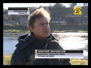 Мандаринка из Лиды - звезда ОНТ!