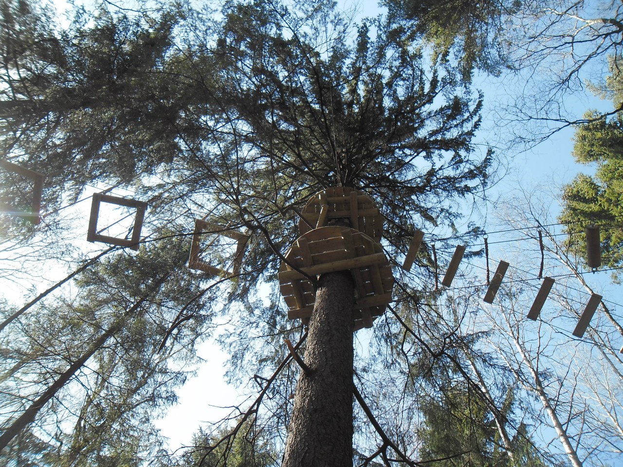Кошкино парк