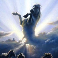 Анастасия Смэгол