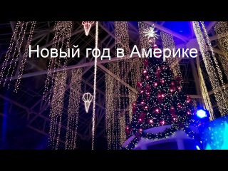 Новогодняя встреча американских блогеров, новый год в Америке