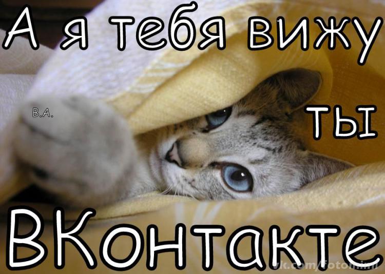 Открытка я тебя вижу, поздравление