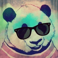 Александр Сокол | Краснодар