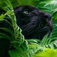 Ренат Дудабаев