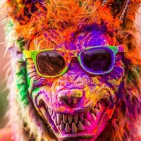 Антон Никитин