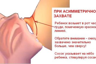 могу проконсультировать Транс 3 согласен всем выше сказанным