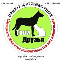 tvoi_druzya