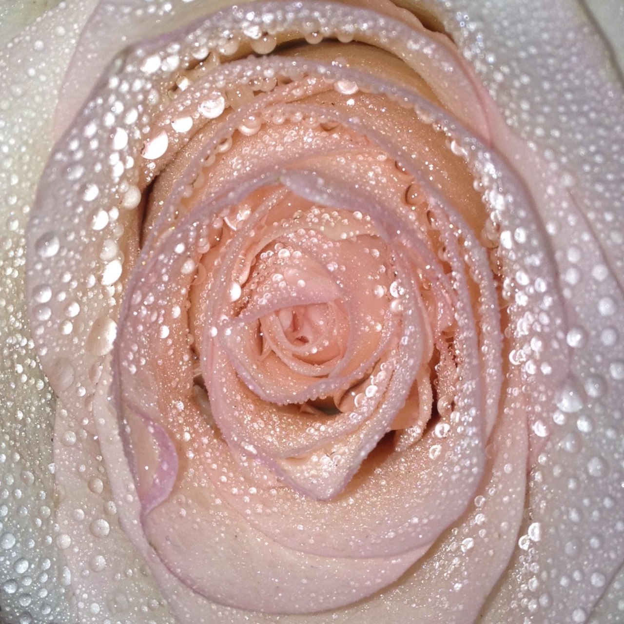 https://pp.userapi.com/c624522/v624522410/48d11/vXFqY1wS85k.jpg