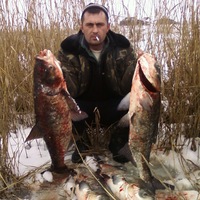 Сергей Гуденко