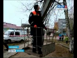 21.10.2014 Спецоперация по спасению кота в Коряжме