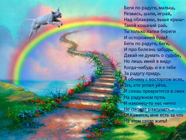 Беги по радуге открытки, победителям