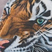 Женя Космос