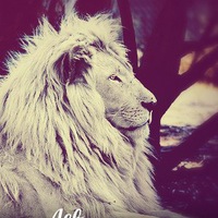 Родион Разуваев