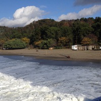 Кулик Василий