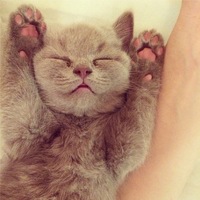 Алиса Климова