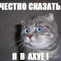 Кирилл Васильев